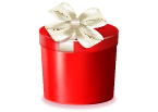 V DAY GIFT